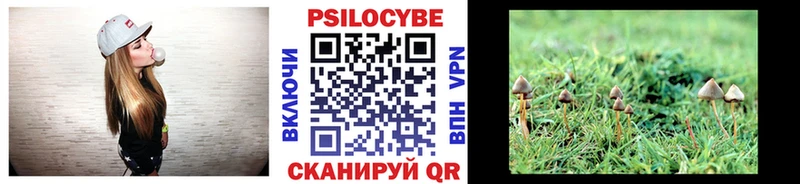 Псилоцибиновые грибы Psilocybe  Вятские Поляны 