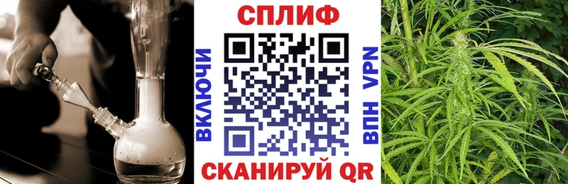 hydra вход  купить закладку  Вятские Поляны  Марихуана SATIVA & INDICA 